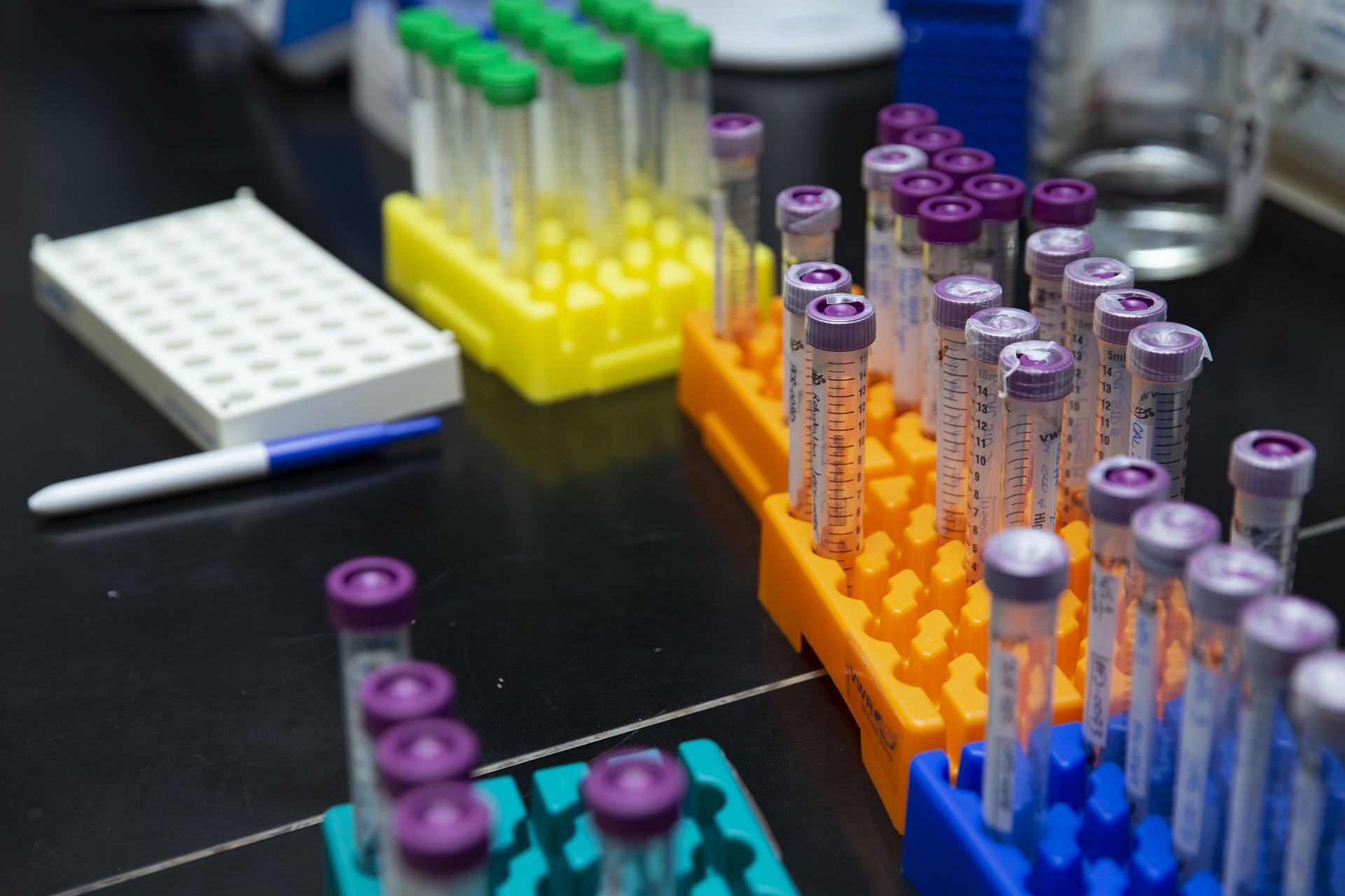 colorful test tubes 4187286 1920